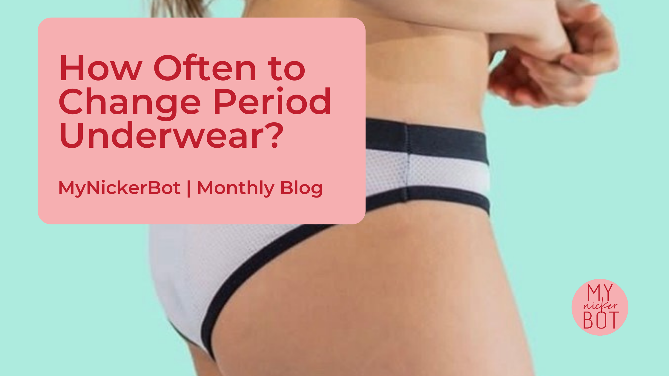 Bonds Bloody Comfy Brief Heavy 14 Period Care Reusable Underwear each