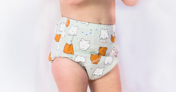 Reusable Cotton Potty Training Underwear for Toddlers, Water-Resistant  Pants with Amusing Designs, Pack of 10